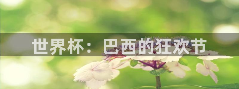 世界杯欧洲区预选赛赛程：世界杯：巴西的狂欢节