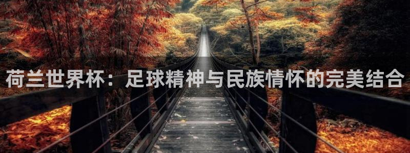 2026年世界杯直播平台：荷兰世界杯：足球精神与民族情怀的完美结合