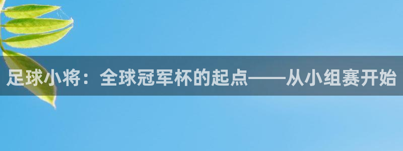 美洲杯直播：足球小将：全球冠军杯的起点——从小组赛开始