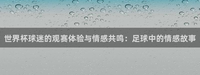 世界杯 中国：世界杯球迷的观赛体验与情感共鸣：足球中的情感故事