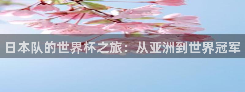 世界杯足球赛2026赛程时间：日本队的世界杯之旅：从亚洲到世界冠军
