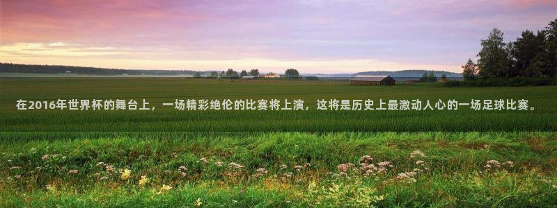 女足世界杯直播：在2016年世界杯的舞台上，一场精彩绝伦的比赛将上演，这将是历史上最激动人心的一场足球比赛。