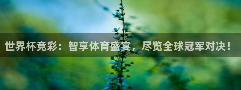 世界杯小组赛赛程：世界杯竞彩：智享体育盛宴，尽览全球冠军对决！